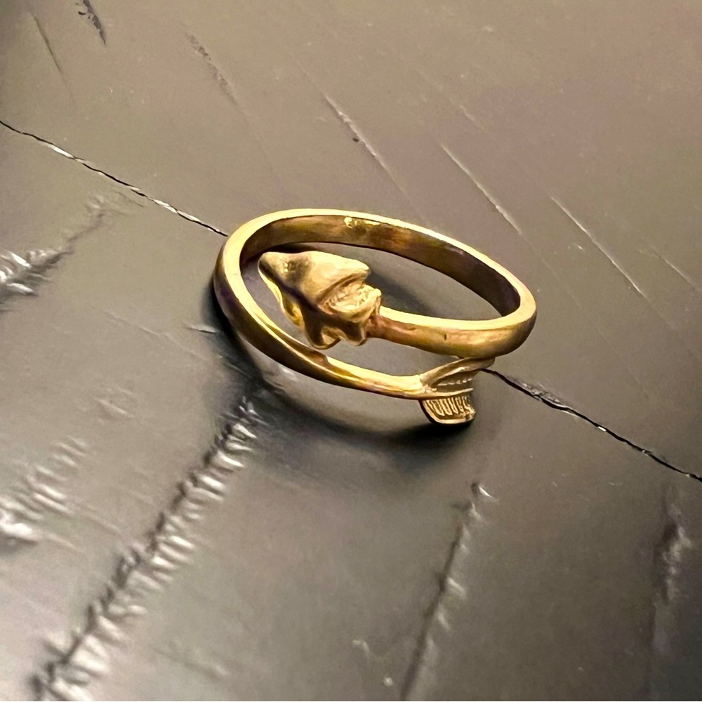 Lia Sophia Arrow Ring - Adjustable Size